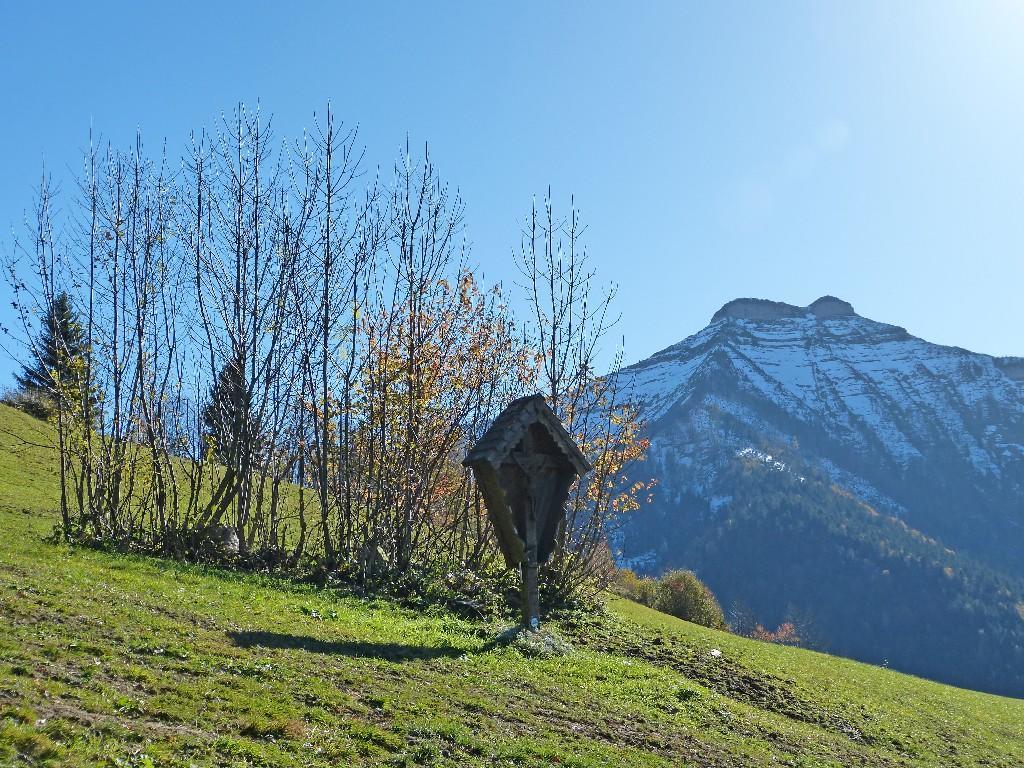 Schwammerlhuette Krispl Oda fotoğraf